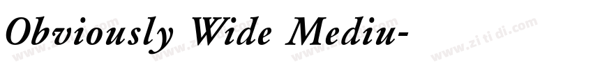 Obviously Wide Mediu字体转换
